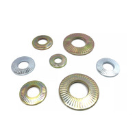 DIN6795 SN70093 Fabricant Spot En Acier Inoxydable Français Mise À La Terre Rondelle De Verrouillage