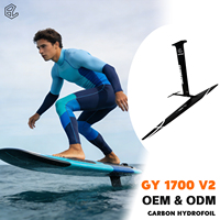 Kit d'hydrofoil en carbone grande surface GY 1700 V2 pour le wing foil léger et des sessions de glisse prolongées avec contrôle longue distance