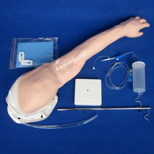 Mô Hình Đào Tạo Arm <span class=keywords><strong>IV</strong></span> Đầy Đủ Chức Năng Tiêm Tĩnh Mạch Và Tiêm - Product Image 3