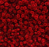 Panneau mural 3D en fleurs artificielles de roses en soie faites à la main, haute simulation, 8x8 pieds, pour mariage, Noël, Thanksgiving