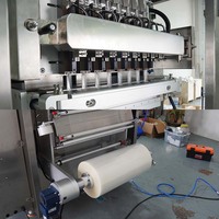 Volledig automatische multilane fruitgelei stick verpakkingsmachine, 8-baans vloeibare ijslolly/ijsstokjes zakjes vul- en verzegelmachine