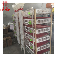 Nouveau Modèle Cage à Cailles Type H de Haute Qualité en Vente