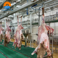 Equipo de Sacrificio de Ovejas y Maquinaria para Mataderos, Línea de Sacrificio de Cabras, Proyecto Llave en Mano, Solución para Procesamiento de Carne Halal