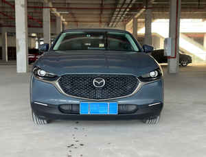 SUV de Segunda Mano, Caja de Cambios Automática, Asientos de Cuero, Techo Solar, Cámara Trasera, Motor de Gasolina 2.0L, Modelo 2021, Volante a la Izquierda, Vehículo Usado - Product Image 2