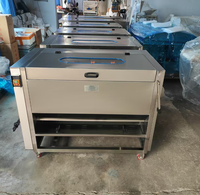 Automatische reinigingsmachine van roestvrij staal voor fruit, groenten, meidoorn, groente- en fruitverwerkingsapparatuur, rolborstel