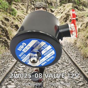 Vannes Solénoïdes en Laiton 2/2 Voies 2W025-08 1/4'' 12V 24V 220 Volts pour le Contrôle du Gaz, de l'Eau et de l'Huile – Prise en Charge de la Personnalisation OEM - Product Image 5