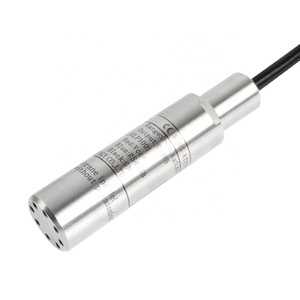 Holykell HPT604 Mức Nhiên Liệu Cảm Biến Hiệu Chuẩn Giếng Khoan Sâu Meter Chìm Mực Nước Cảm Biến - Product Image 1