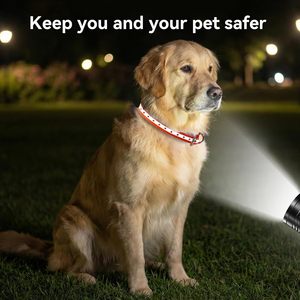 Tairro TPU Dog <b>Collar</b> Replacement Strap Reflective Orange Adjustable Waterproof Durable All Breed Sizes - Product Image 3