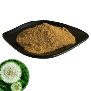 Extracto de Diente de León en Polvo Soluble en Agua, Materia Prima de Grado Alimenticio - Product Image 1