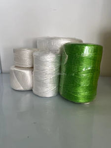 Tùy chỉnh màu <span class=keywords><strong>PP</strong></span> chia phim twine Baler twine cho nông nghiệp cung cấp mẫu miễn phí - Product Image 3