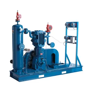 Top Quality Cng Gas Compressor 150 CFM 150 Litre High Pressure CO2 12 Volt Air Compressor for Gas Lifting