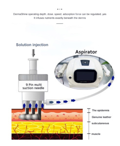 Appareil de beauté multifonctionnel de bureau en plastique Demaso 4ème génération, revitalisant cutané anti-âge, mésothérapie Vital Body - Product Image 3