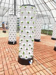 Nieuwe Landbouwkas Aeroponische Tuinplant Verticale Hydrocultuurtoren - Product Image 4