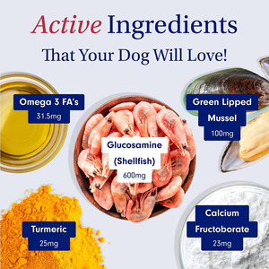 Suplemento OEM para mascotas, fabricante de glucosamina, condroitina, MSM, suplemento de soporte para movilidad de cadera y articulaciones para perros y gatos - Product Image 5