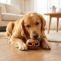 Jouet pour chien en caoutchouc en forme de citrouille, mignon, qui couine et change de couleur pour Halloween