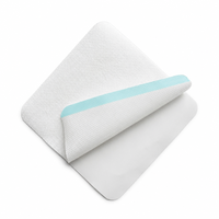 Parche Adhesivo en Blanco, Hipoalergénico, de Tela No Tejida, Fácil de Despegar, Amigable con la Piel, Tamaño Personalizado Disponible, Suministro OEM al por Mayor