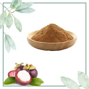 Polvo de extracto de mangostán natural 100% polvo de jugo de fruta de mangostán natural