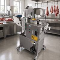 Trancheuse à viande fraîche et de volaille désossée modèle 260, double vitesse, avec moteur de lame 400W, moteur de levage 750W et moteur d'alimentation 25W