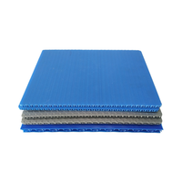 Vente en gros de feuilles de polypropylène Coroplast 4x8 Panneaux en plastique ondulé vierges Feuille Corex pour impression numérique Panneaux de signalisation Corflute pour l'extérieur