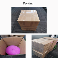20Cm Kleine Hartverpakking Dubbellaagse Bubbelverpakkingsrollen Met Luchtdemping Isolatie Doorzichtige Verpakkingsfolie