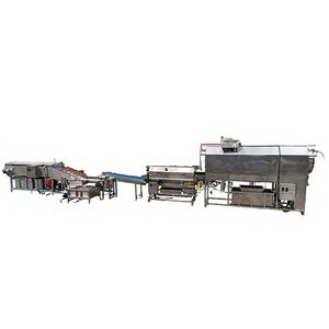 Équipement de lavage et de pelage continu automatique motorisé pour légumes et fruits, destiné aux usines ou lignes de transformation alimentaire - Product Image 1