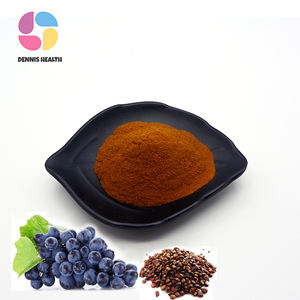 สารสกัดจากเมล็ดองุ่นธรรมชาติ 80% โพลีฟีนอล - Product Image 1