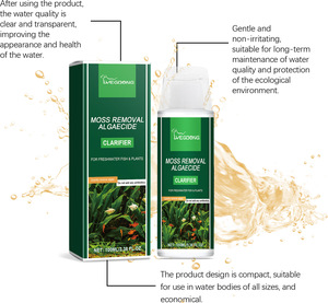 Suero Capilar en Roll-on de Romero y Árbol de Té de Marca Blanca, Cuidado del Cabello con Aceites Esenciales Orgánicos, Esencia para el Crecimiento del Cabello para Cuero Cabelludo Seco - Product Image 3