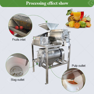 Máquina Eléctrica para Despulpado de Mango, Capacidad de 500 kg/h, Multivoltaje (110V/220V/380V), Alto Rendimiento, Pelado y Deshuesado de Frutas - Product Image 5