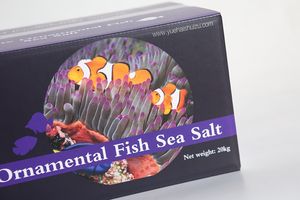 Top Ongeraffineerde Sps Coral Matige Prijs Marine Siervissen Zeezout Water <span class=keywords><strong>Aquarium</strong></span> <span class=keywords><strong>Aquarium</strong></span> - Product Image 5