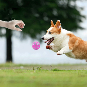 Giocattoli per Cani Etpu Resistenti al Morso, Leggeri, Altamente Elastici, Antistrappo ed Ecologici, Giocattoli Interattivi - Product Image 3