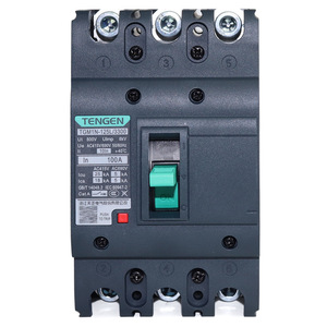 เท็นเก้น ทีจีเอ็ม1เอ็น-125แอล/3300 เซอร์กิตเบรกเกอร์แบบโมลด์เคส 100a 3p ทริปแม่เหล็กแบบเทอร์มอล 415v แรงดันต่ำ - Product Image 1