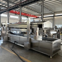 Friteuse industrielle continue pour nuggets de poulet, galettes de viande, tempura, anneaux d'oignon et la transformation de snacks