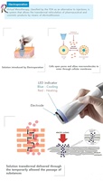 Máquina Profesional de Electroporación sin Agujas para Rejuvenecimiento Facial, Uso en Salón