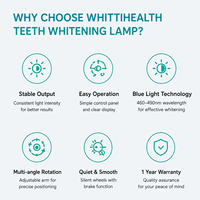 Lampe LED dentaire 80W à lumière froide pour blanchiment des dents, machine de blanchiment électrique à lumière bleue 460-490nm pour clinique et salon