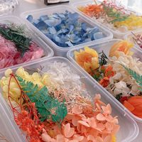 Kit de matériaux DIY de fleurs séchées colorées fantaisie, fleurs préservées pour la décoration de gâteaux, cadre photo, fournitures artisanales, décoration de cadeaux