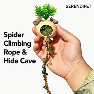 Caverne pour araignées faite <span class=keywords><strong>à</strong></span> la main avec <span class=keywords><strong>corde</strong></span> d'escalade, cachette pour araignées sauteuses, aspect naturel, décoration d'habitat, accessoires pour araignées arboricoles - Product Image 1
