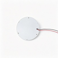 Lámpara de Cortesía Automotriz Redonda Compacta de 12-24V con Anillo LED Cálido y Disco Decorativo de Aluminio para Lectura en el Asiento Trasero