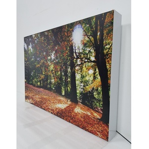 Negozi al dettaglio appesi in alluminio Led Poster Frame in tessuto Light box Display Ultra sottile pubblicità scatole luminose all'aperto - Product Image 5