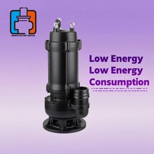 Bomba Sumergible de Energía Solar para Riego Remoto - Product Image 5