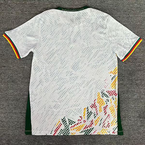 Çok Satan Yüksek Kaliteli Nefes Alabilen Hızlı Kuruyan 2026-2027 Kamerun Futbol Forması Oyuncu Versiyonu OEM Hizmetiyle - Product Image 6