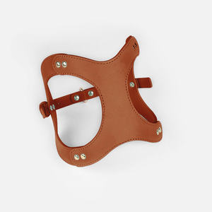 Tali Kekang Hewan Peliharaan dan Kalung Anjing Peliharaan Kulit Sapi Mewah - Product Image 5