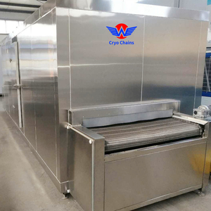 Frutas y verduras <span class=keywords><strong>300</strong></span> kg/H congelados rápidamente pequeña máquina Iqf túnel congelador - Product Image 3