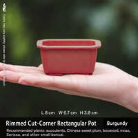 Molde para Macetas de Suculentas, Mini Macetas de Resina para Suculentas y Bonsáis, Diseño Simple, Múltiples Orificios de Drenaje para Interiores - Venta Directa de Fábrica