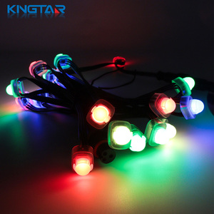 DC5V 12mm <span class=keywords><strong>RGB</strong></span> <span class=keywords><strong>LED</strong></span> Pixels Light IP67 FW1903 Luces de Navidad de plástico para uso en paisajes y parques temáticos - Product Image 4