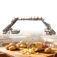 Automatische productielijn voor aardappelchips, groothandelsprijs