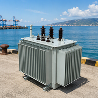 Transformateur de distribution immergé dans l'huile triphasé S20 315 kVA, trois enroulements, 50 Hz/60 Hz, pour usage agricole