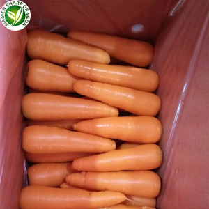 <span class=keywords><strong>Prix</strong></span> <span class=keywords><strong>de</strong></span> gros pour l'exportation <span class=keywords><strong>de</strong></span> carottes surgelées IQF biologiques - Product Image 5