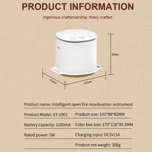 סיני מוקסה מקלות צורב חם עישון ואין אש דיקור מרידיאן טיפול חימום לעיסוי חכם חשמלי מוקסה - Product Image 6