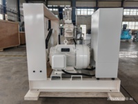 Fabricant de compresseurs d'oxygène à tension personnalisée, certifié CE ISO, avec surpresseur à piston pour système PSA VPSA
