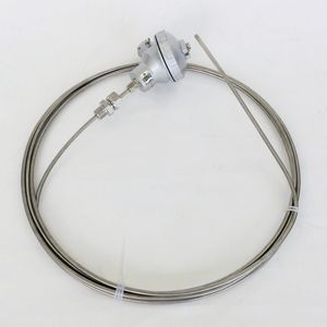 Haichen Wzpk Duplex Ss316 Pt100 Type Schede Rtd - Product Image 2